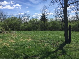 Property photo 24 - REAL ESTATE & LAND AUCTION - 105+/- ACRES IN 4 TRACTS IN BUTLER COUNTY, OHIO